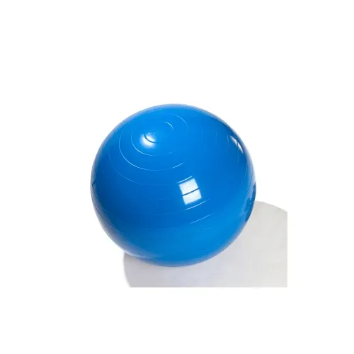 Anti Burst Exercise Ball