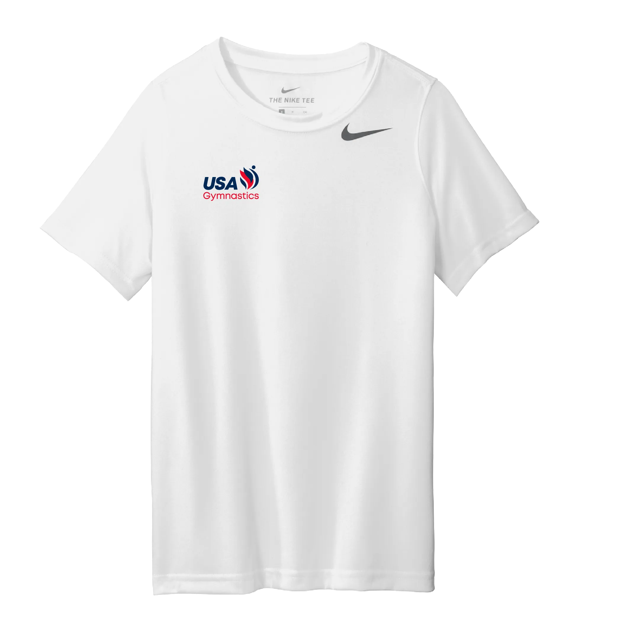 Nike Dri-Fit Legend Tee (DV7299)