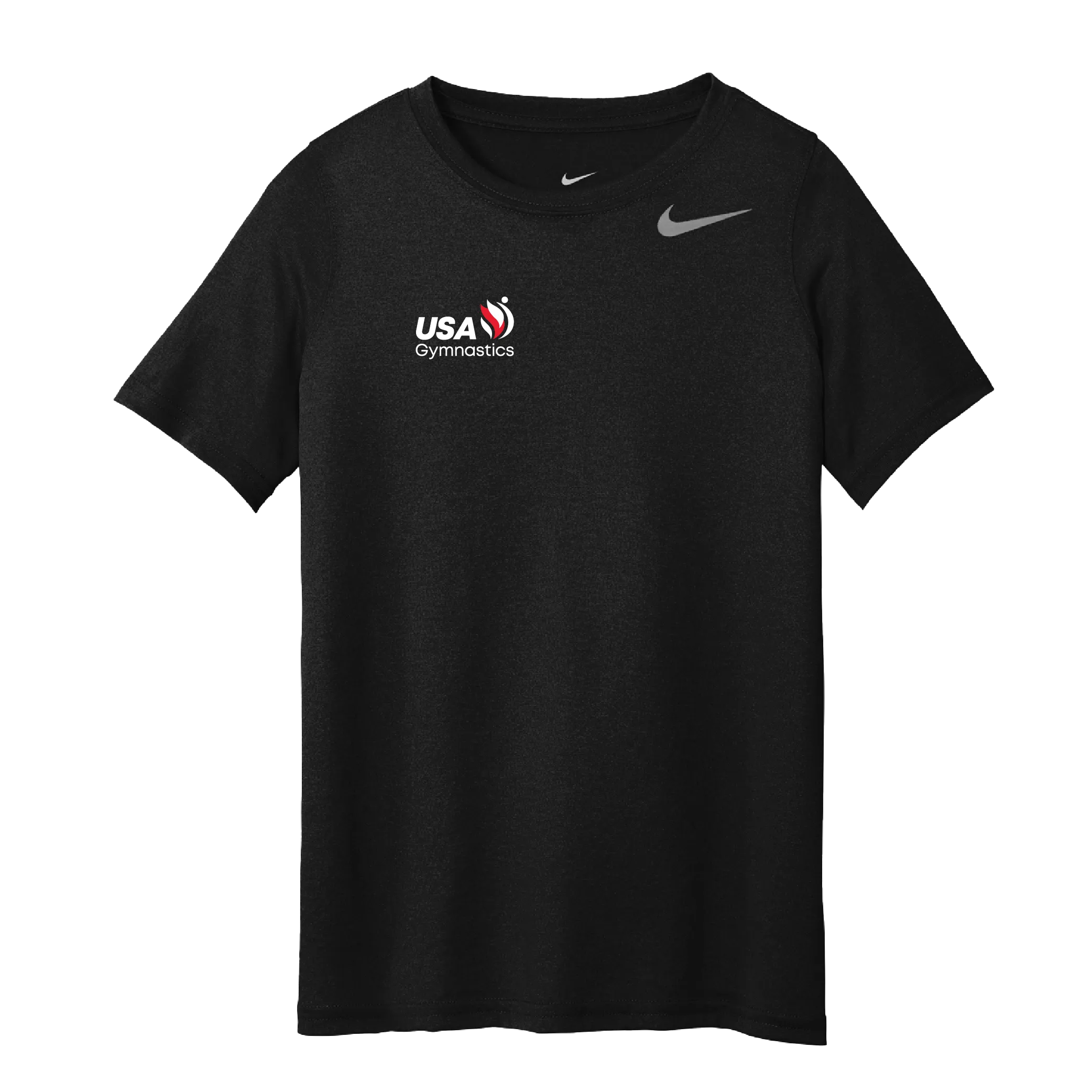 Nike Dri-Fit Legend Tee (DV7299)